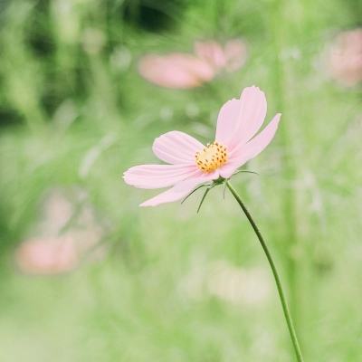 北京我在北京过中秋！寻味“花式月饼”·北京篇