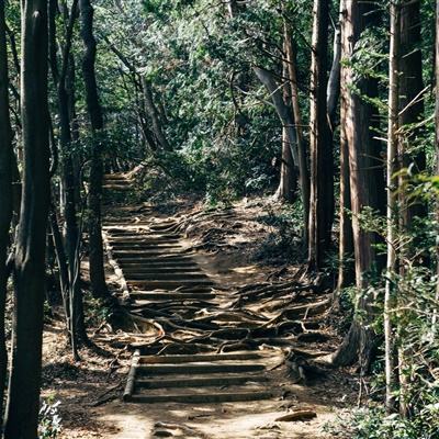 闽剧《过崖记》亮相北京梅兰芳大剧院