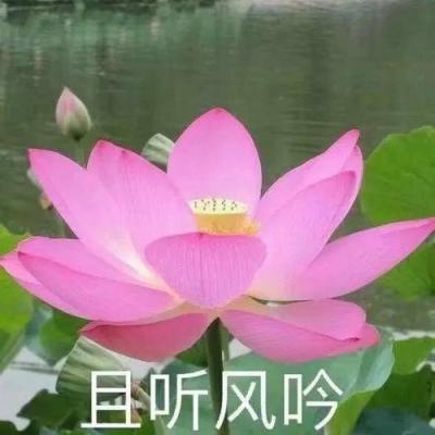 沃森生物轻装上阵：出清2.5亿存货减值，三大增长点就绪