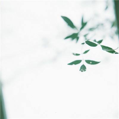 中秋节 | 明月满中秋，家人共团圆!